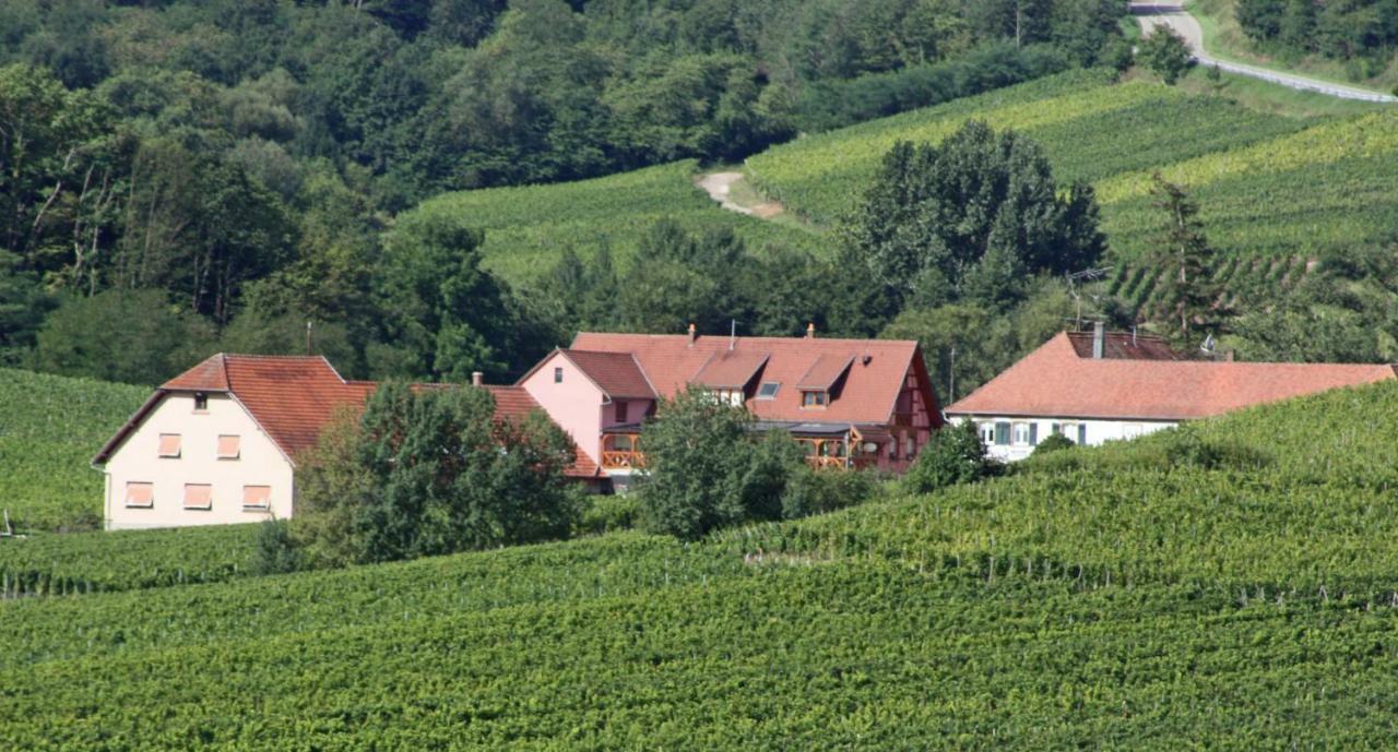 Gite "Au Cerf" Nothalten Exterior foto